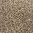 Latte Swatch