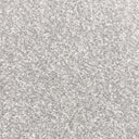 Light Grey Swatch