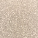 Taupe Swatch