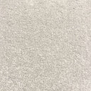Platinum Swatch