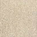 Beige Swatch