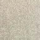 Greige Swatch