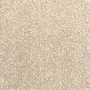 Ivory Swatch