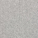Light Grey Swatch