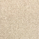 Sand Swatch