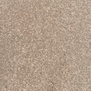 Taupe Swatch