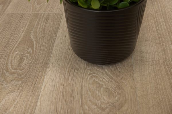 Oak