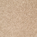 Almond Swatch