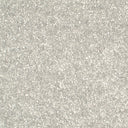 Light Grey Swatch