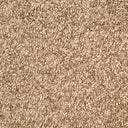 Mocha Swatch