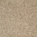 Taupe Swatch