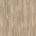 Medium Oak