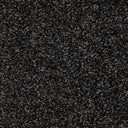 Anthracite Swatch