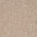 Beige Swatch