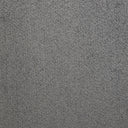 Ash Swatch