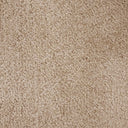 Latte Swatch