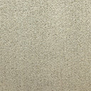 Mist Swatch
