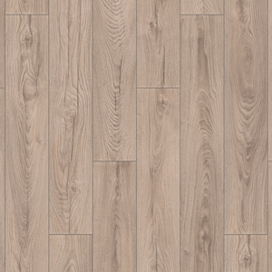 Mushroom Carpenter Oak