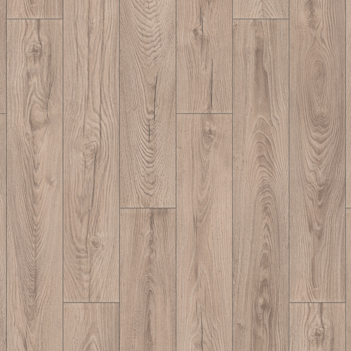 Mushroom Carpenter Oak