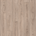 Mushroom Carpenter Oak