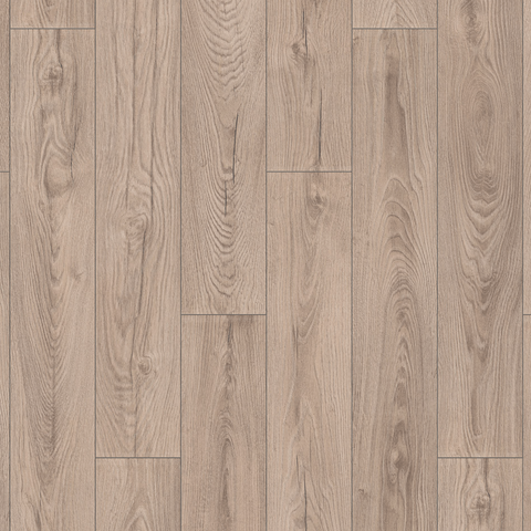 Mushroom Carpenter Oak
