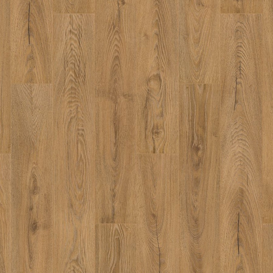 Inca Carpenter Oak