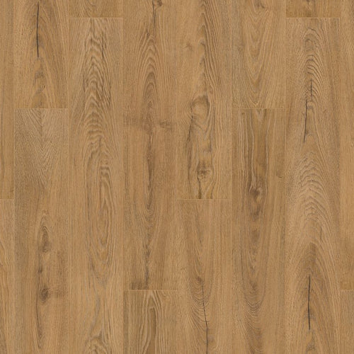 Inca Carpenter Oak