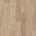 Khaki Oak