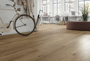 Sundance Oak