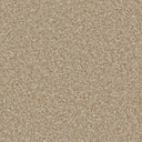 Caramel Swatch