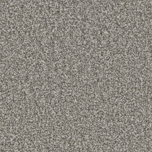 Iron