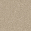 Light Beige Swatch