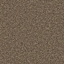 Mocha Swatch