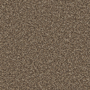 Mocha