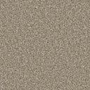 Pale Oak Swatch