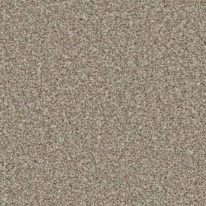 Pale Oak