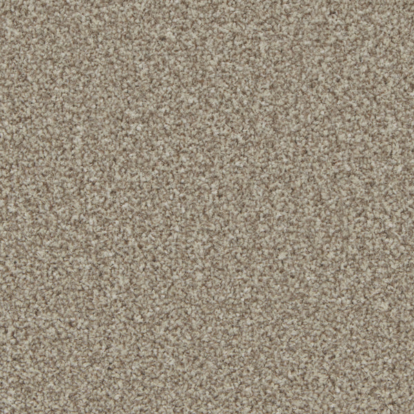 Pale Oak
