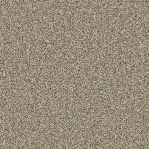 Pale Oak