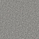 Silver Swatch