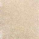 Beige Swatch