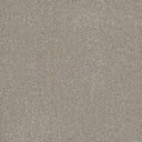 Taupe Swatch