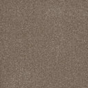 Truffle Swatch