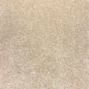 Warm Beige Swatch