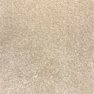 Warm Beige