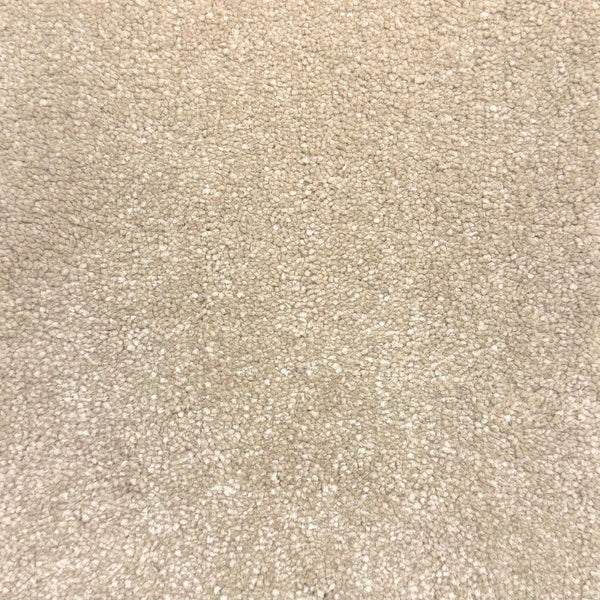Warm Beige