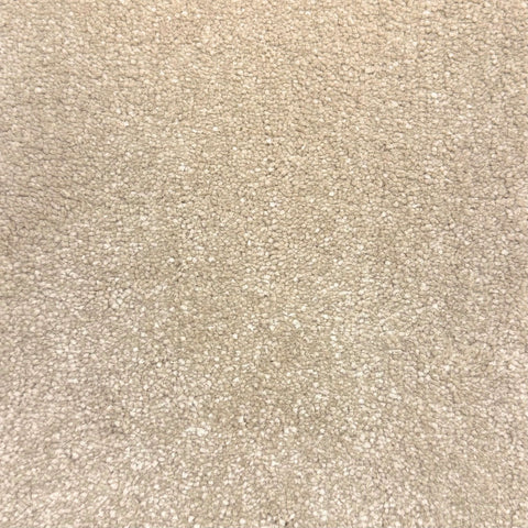 Warm Beige