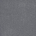 Warm Grey Swatch
