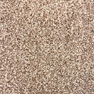 Barley