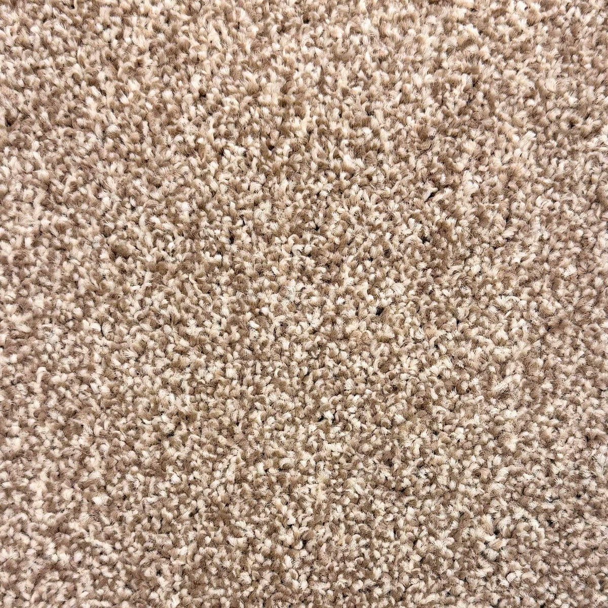 Barley