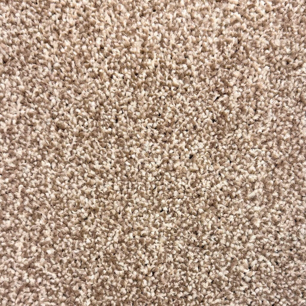 Barley